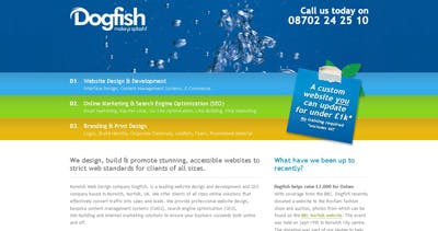 Dogfish Internet Website Screenshot