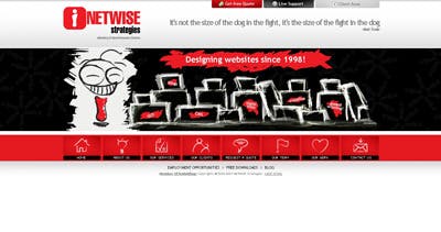 NETWiSE Strategies Website Screenshot