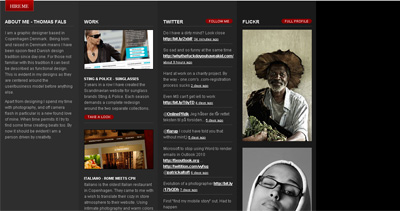 Thomas Fals Website Screenshot