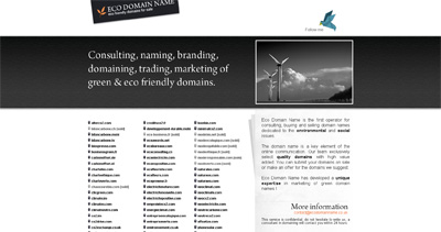 Eco Domain Name Website Screenshot