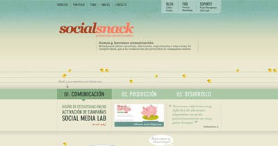 SocialSnack Website Screenshot