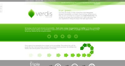 Verdis Group Website Screenshot