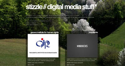 stizzle Website Screenshot