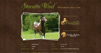 Stacatto Wind Website Screenshot