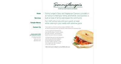 Sonny Langer Website Screenshot