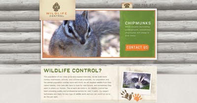 North Georgia Wildlife Control Website Screenshot