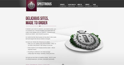 Spectrious LLC Website Screenshot