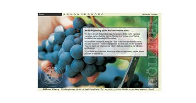 Höllerer Winery Website Screenshot