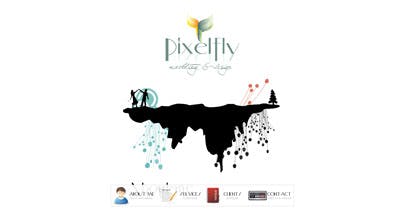Pixelfly Website Screenshot