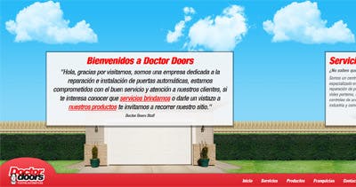 Doctor Doors Website Screenshot