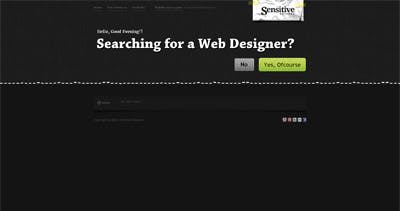 Sensitive Designs Website Screenshot