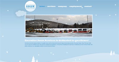 Executive Snow Services Website Screenshot