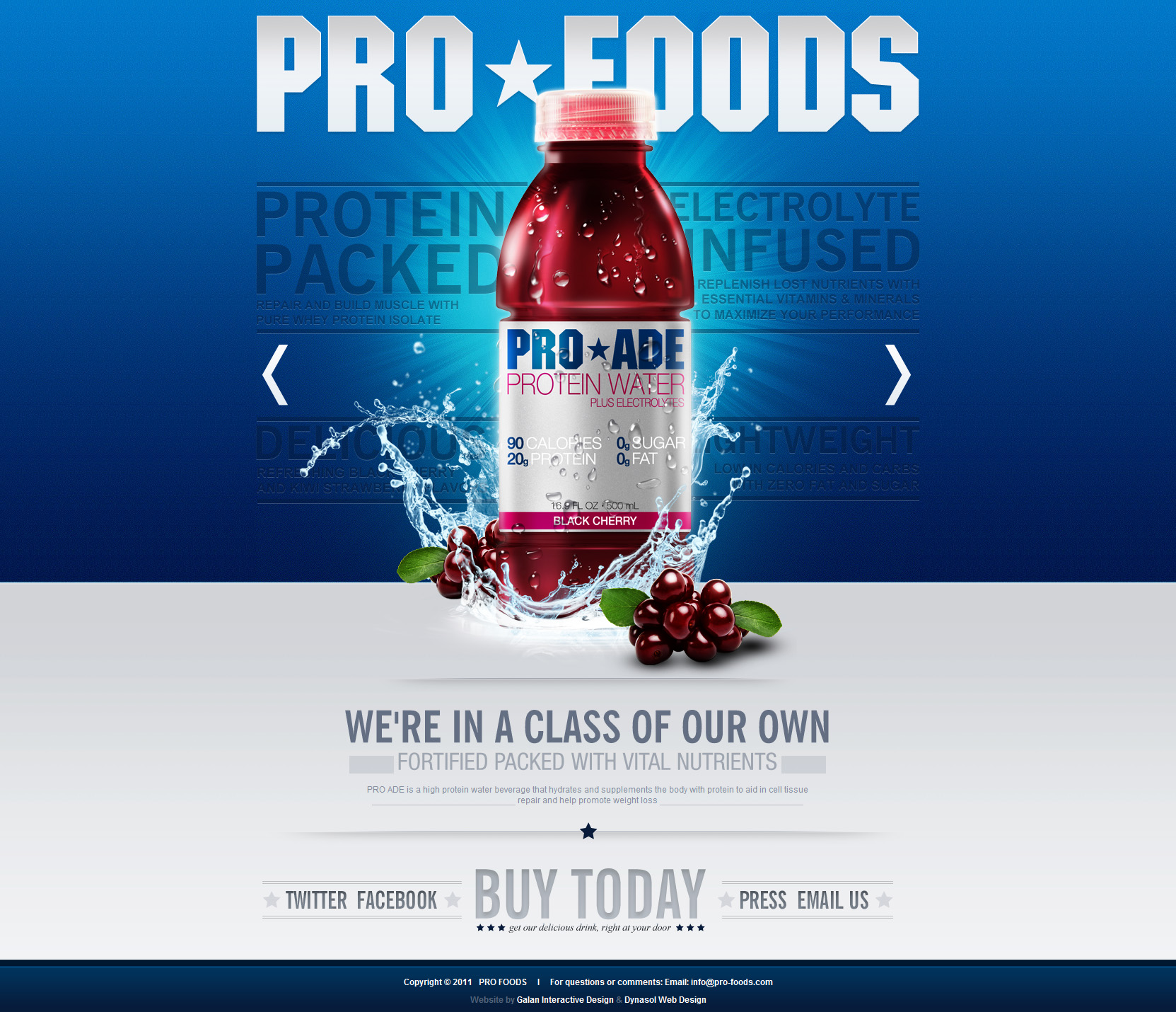 Pro Foods Website Screenshot