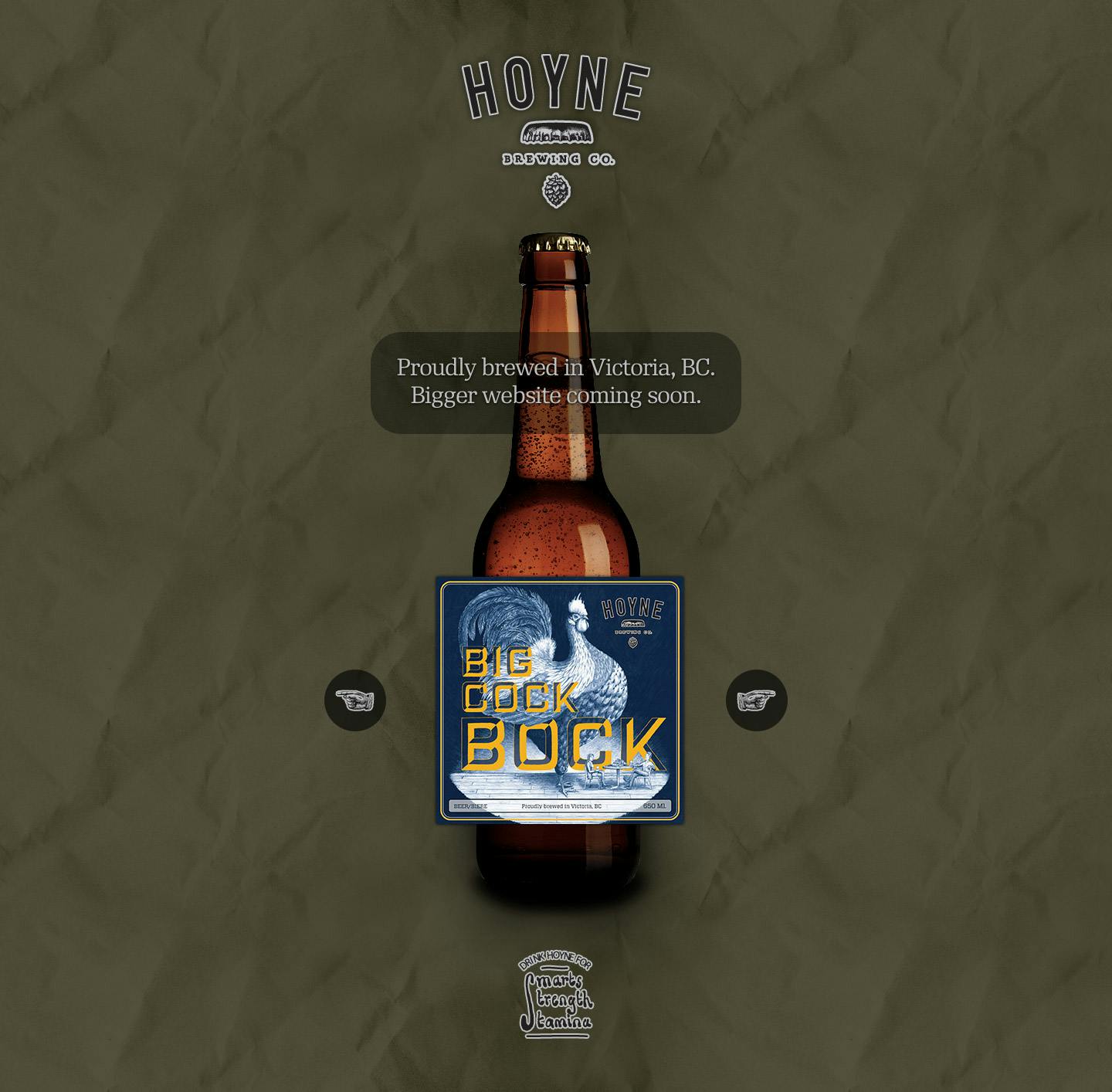 Hoyne Brewing Co. Website Screenshot
