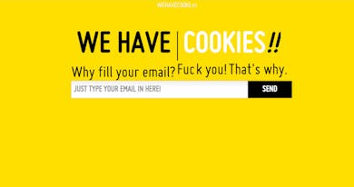 We Have Cookies Thumbnail Preview