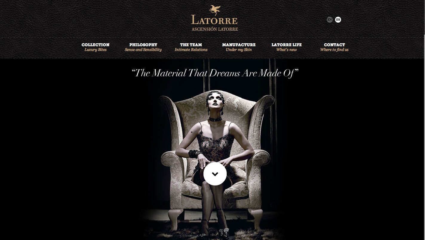 Ascensión Latorre Website Screenshot