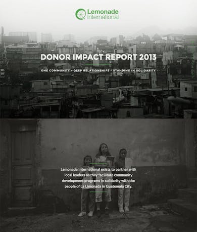 Lemonade International – Annual Report 2013 Thumbnail Preview