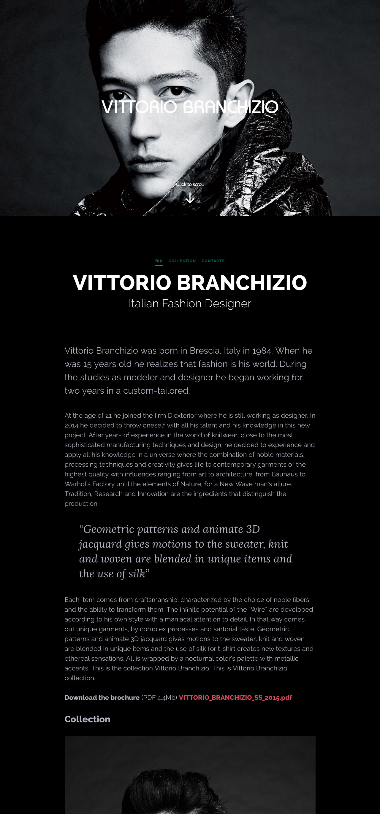 Vittorio Branchizio Website Screenshot