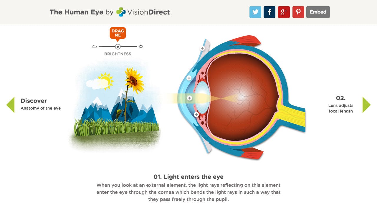 An Interactive Guide To The Human Eye Website Screenshot