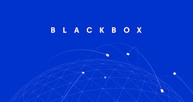 Blackbox Thumbnail Preview