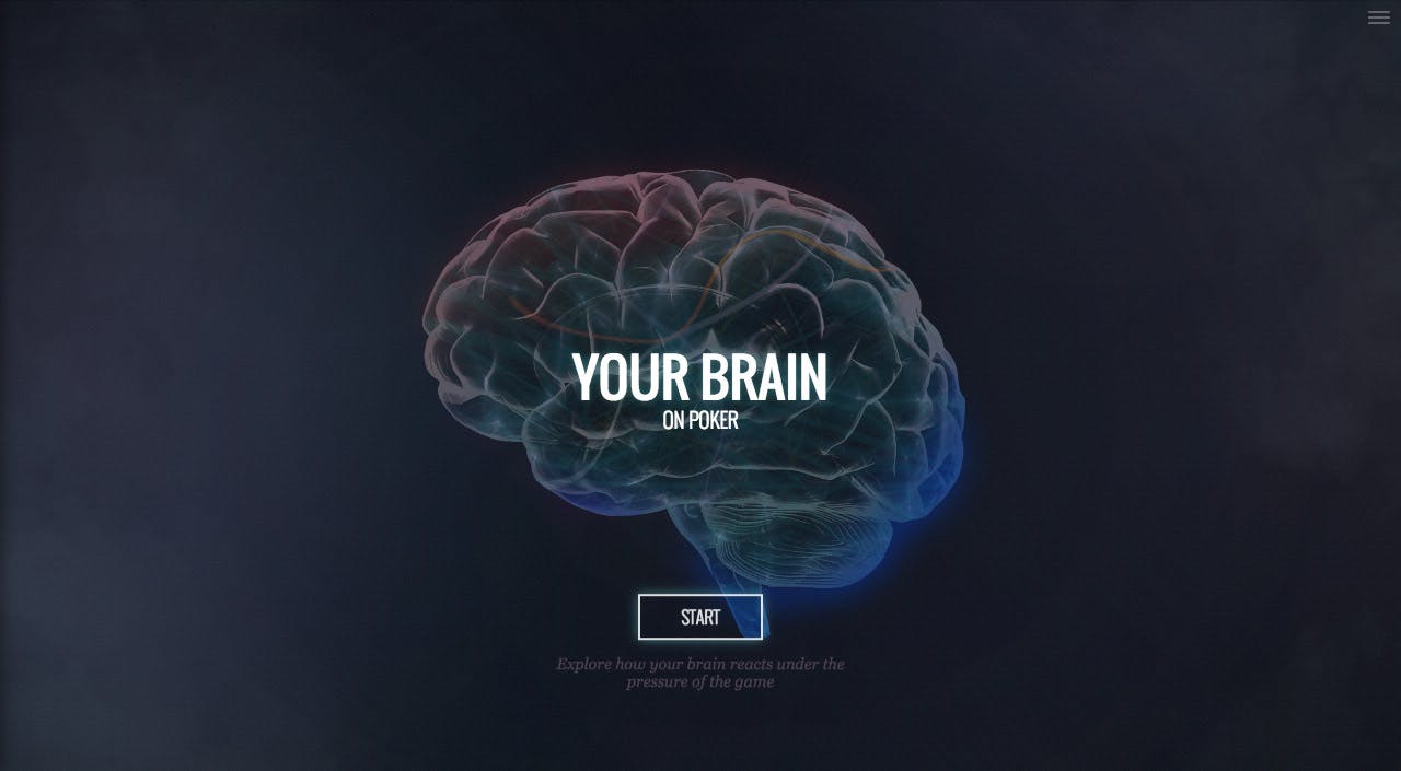Your brain on poker Website Screenshot