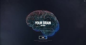 Your brain on poker Thumbnail Preview