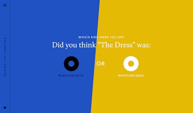 Behind The Hashtag: #TheDress Thumbnail Preview