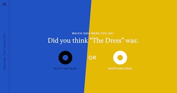 Behind The Hashtag: #TheDress Thumbnail Preview