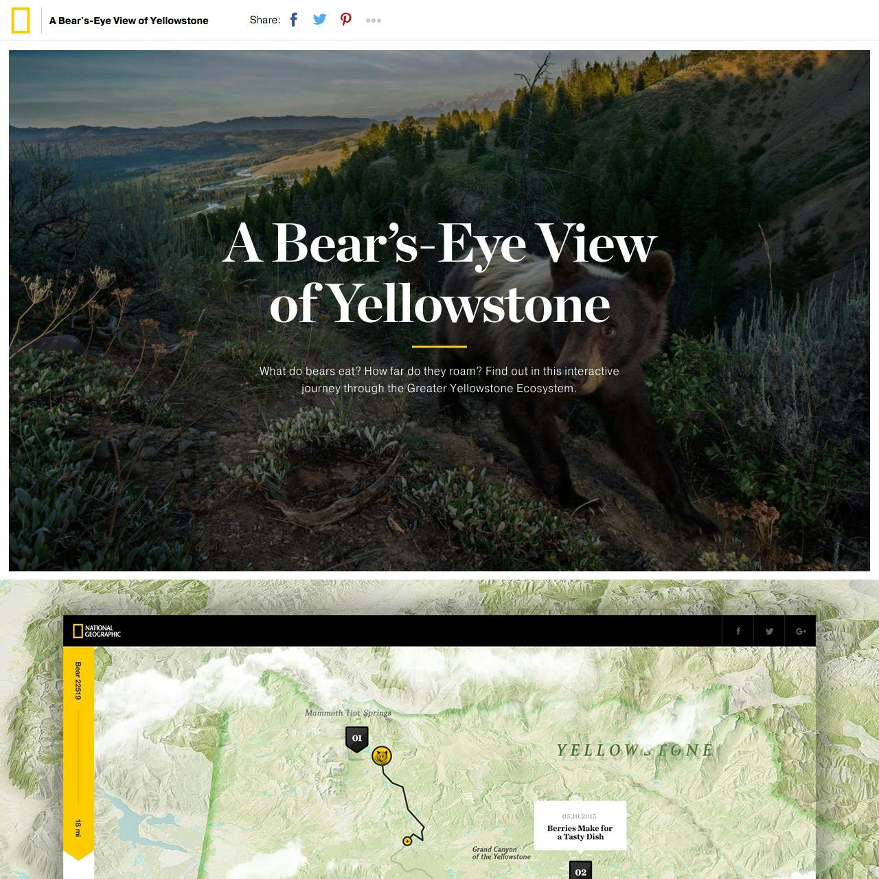 A Bear’s-Eye View of Yellowstone Website Screenshot
