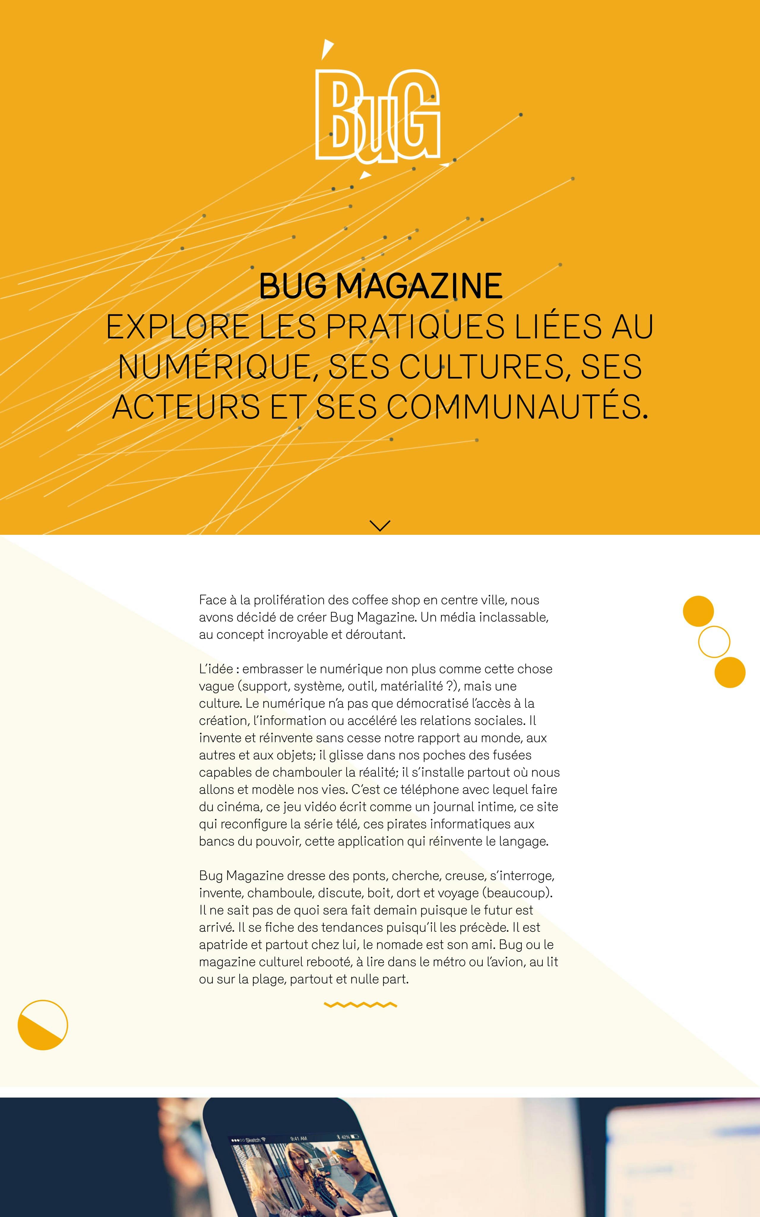Bug Magazine Website Screenshot