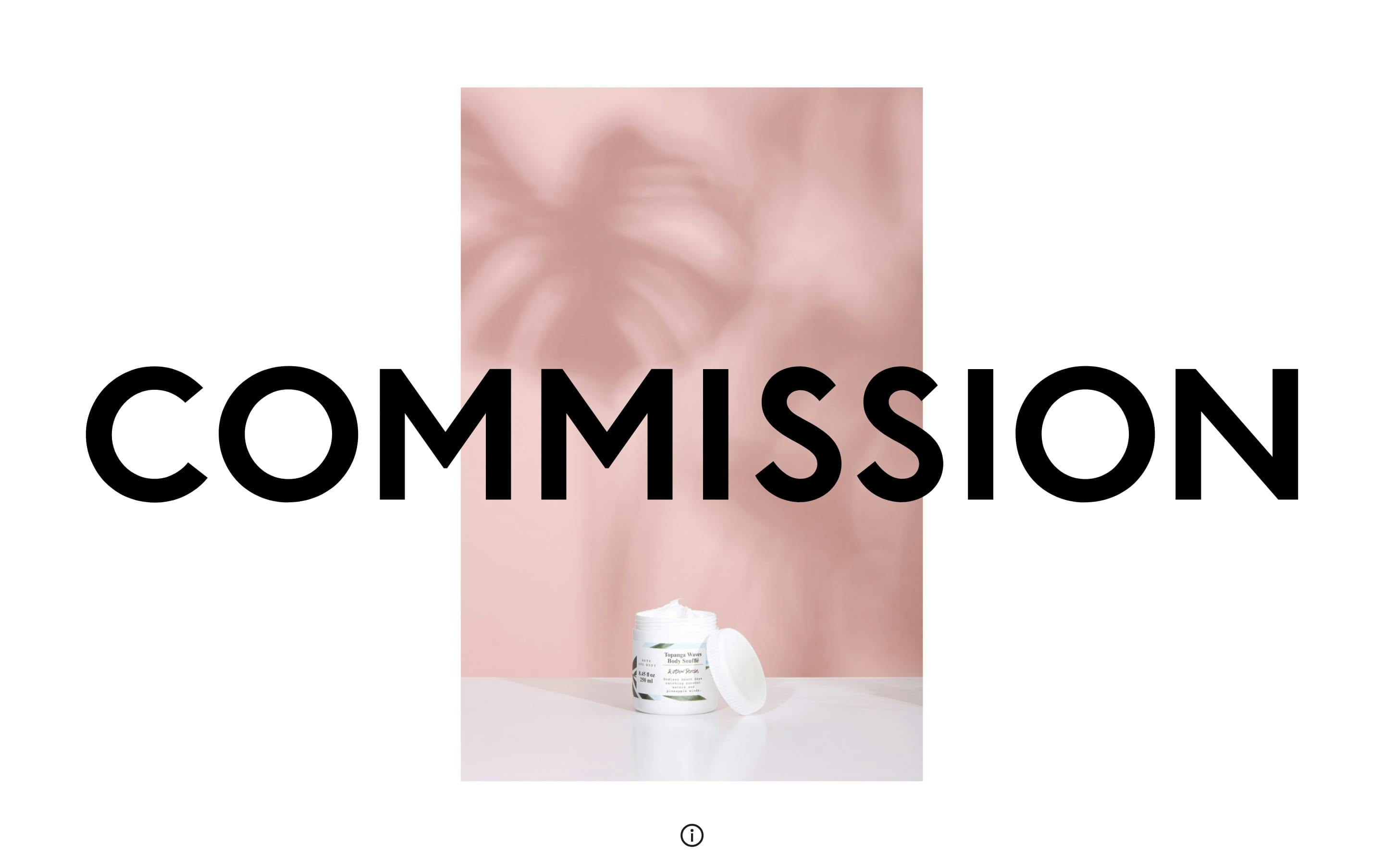 Commission Website Screenshot
