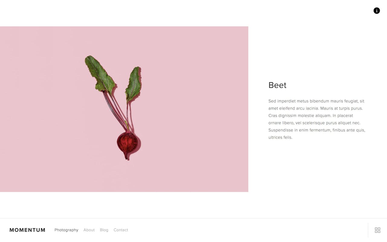 Momentum - Project information view when client clicks info icon (top right) Screenshot