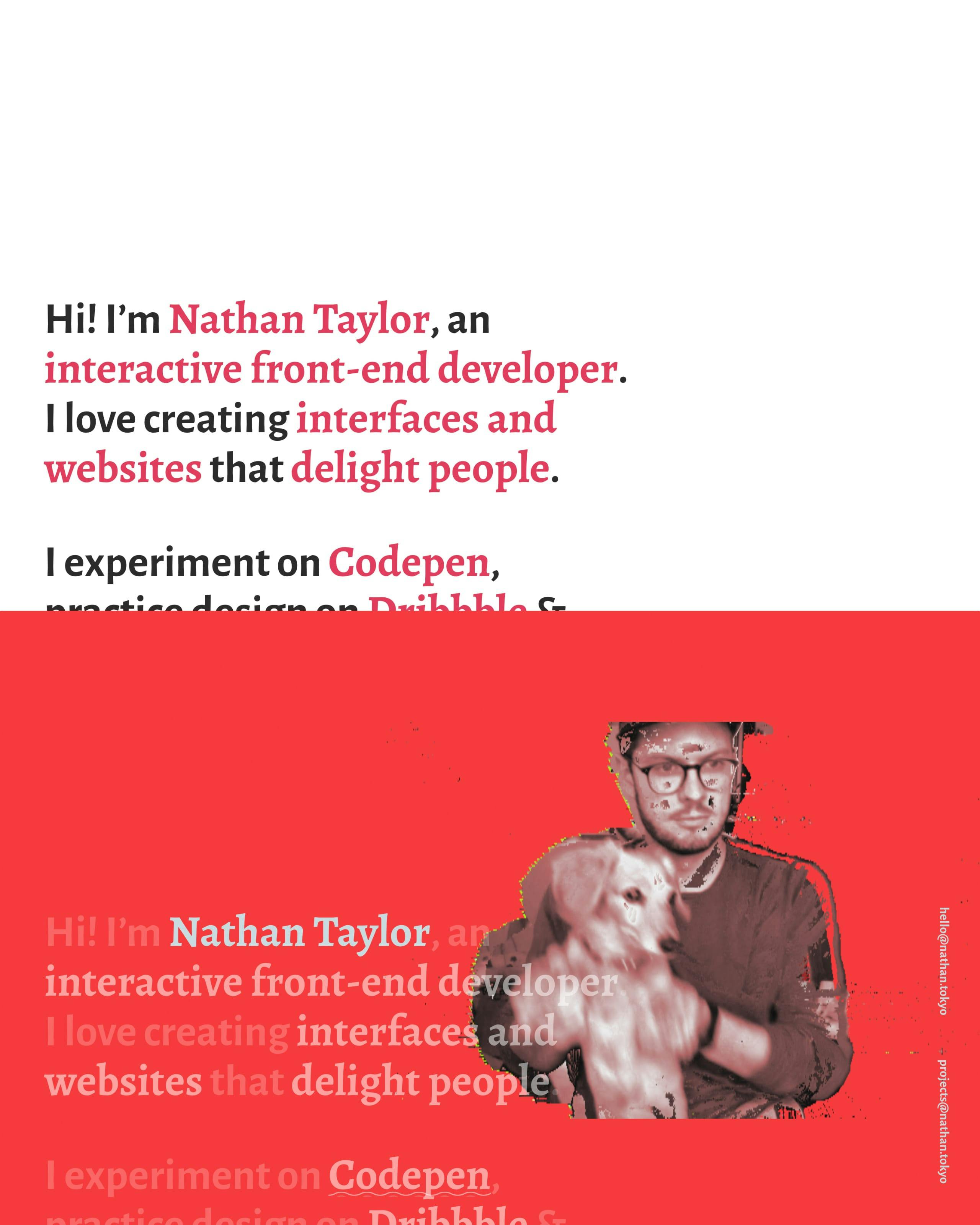 Nathan Taylor Website Screenshot