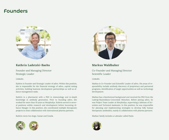 adivo Team Preview