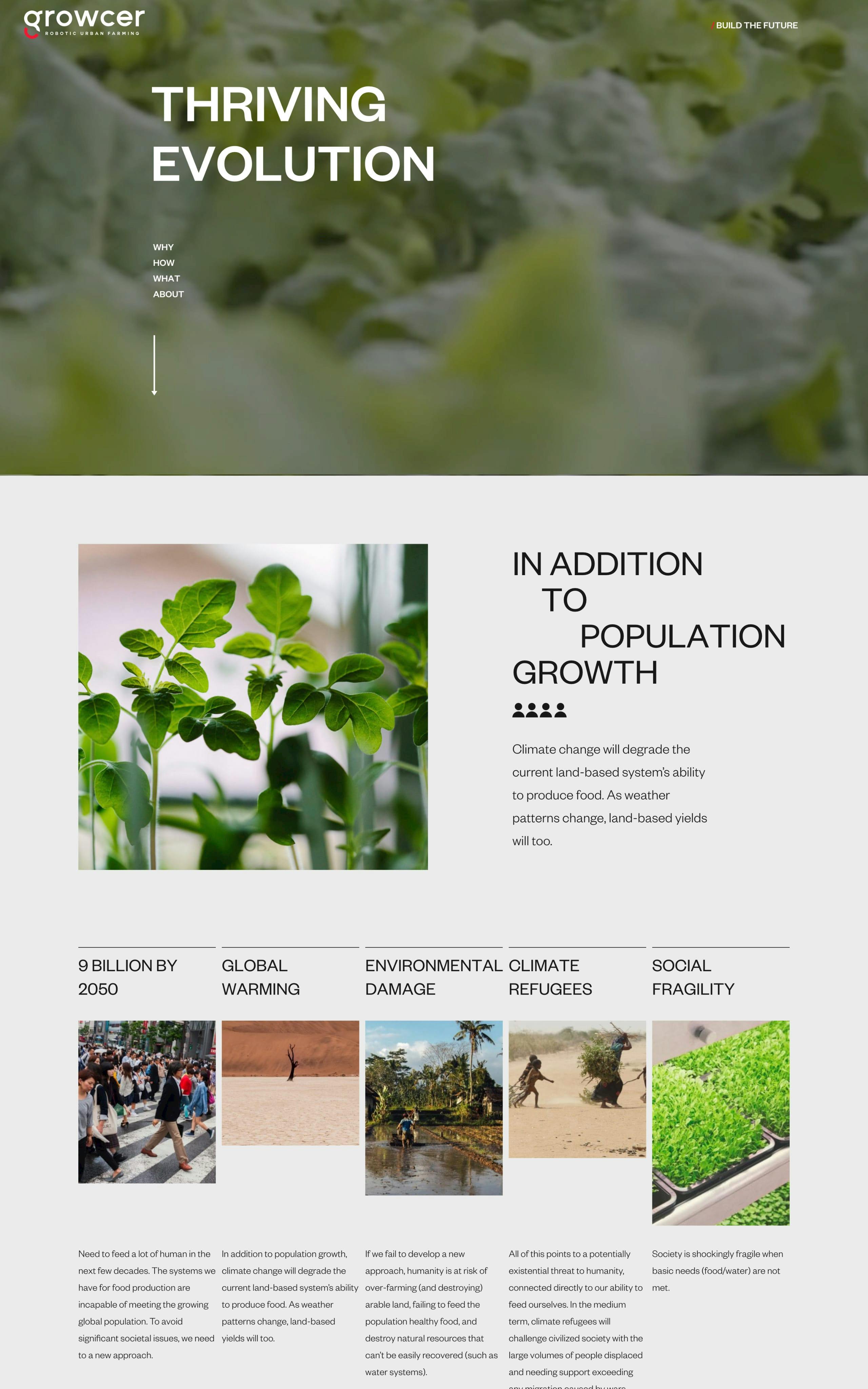 Growcer Website Screenshot