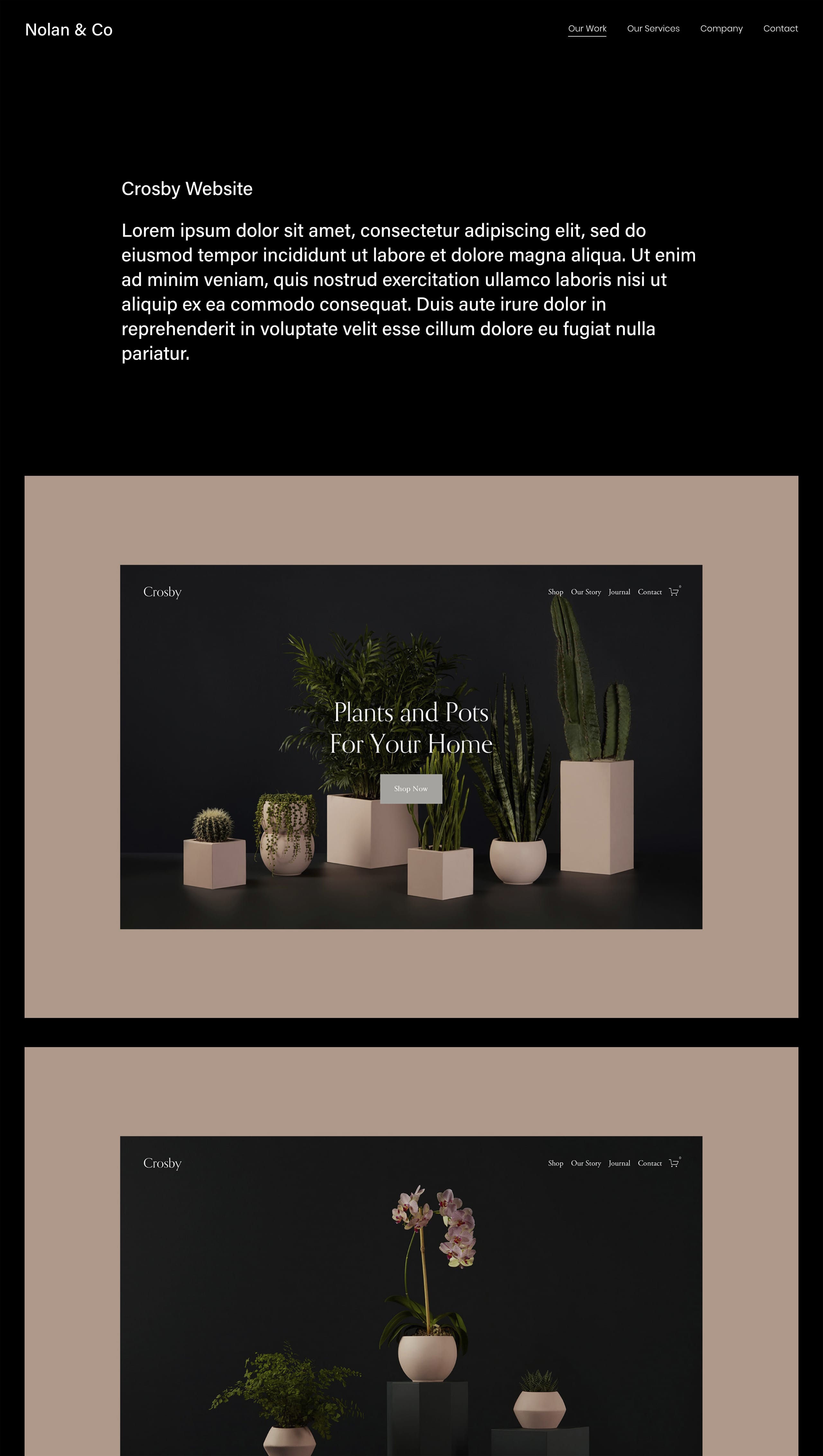 Squarespace Portfolio Templates