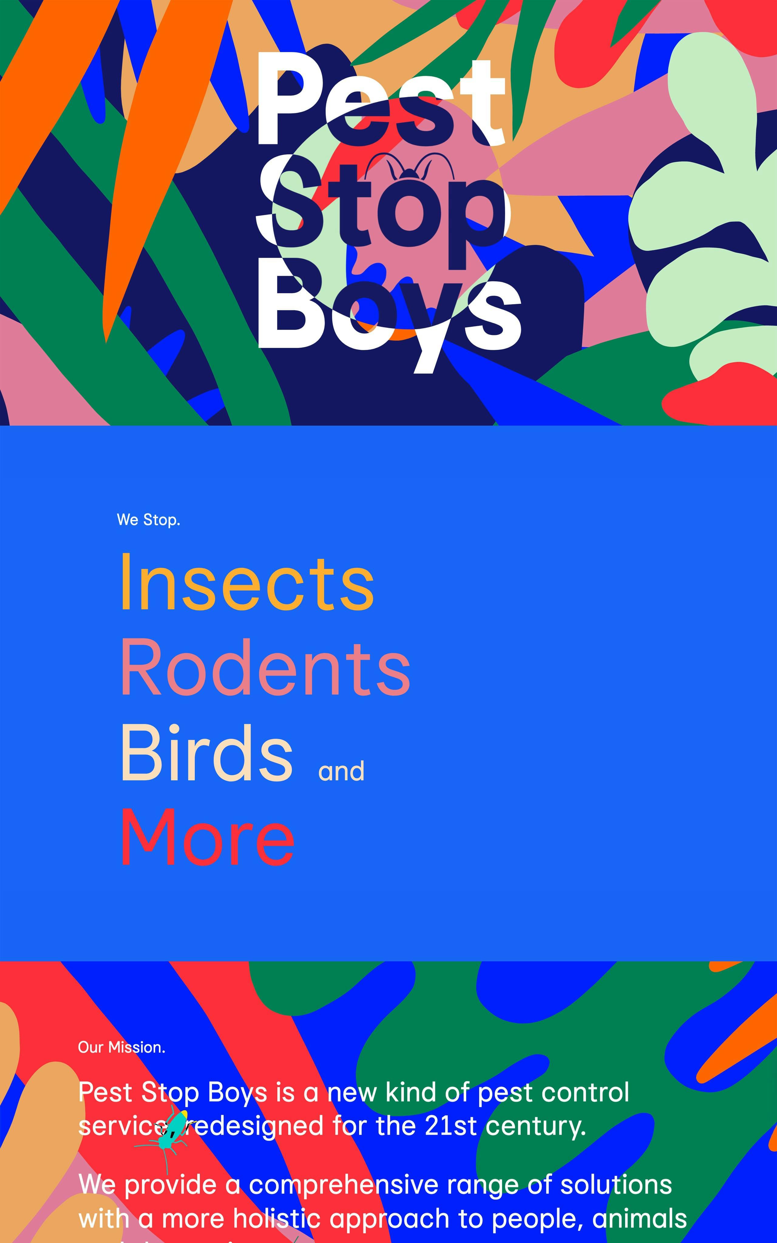 Pest Stop Boys Website Screenshot