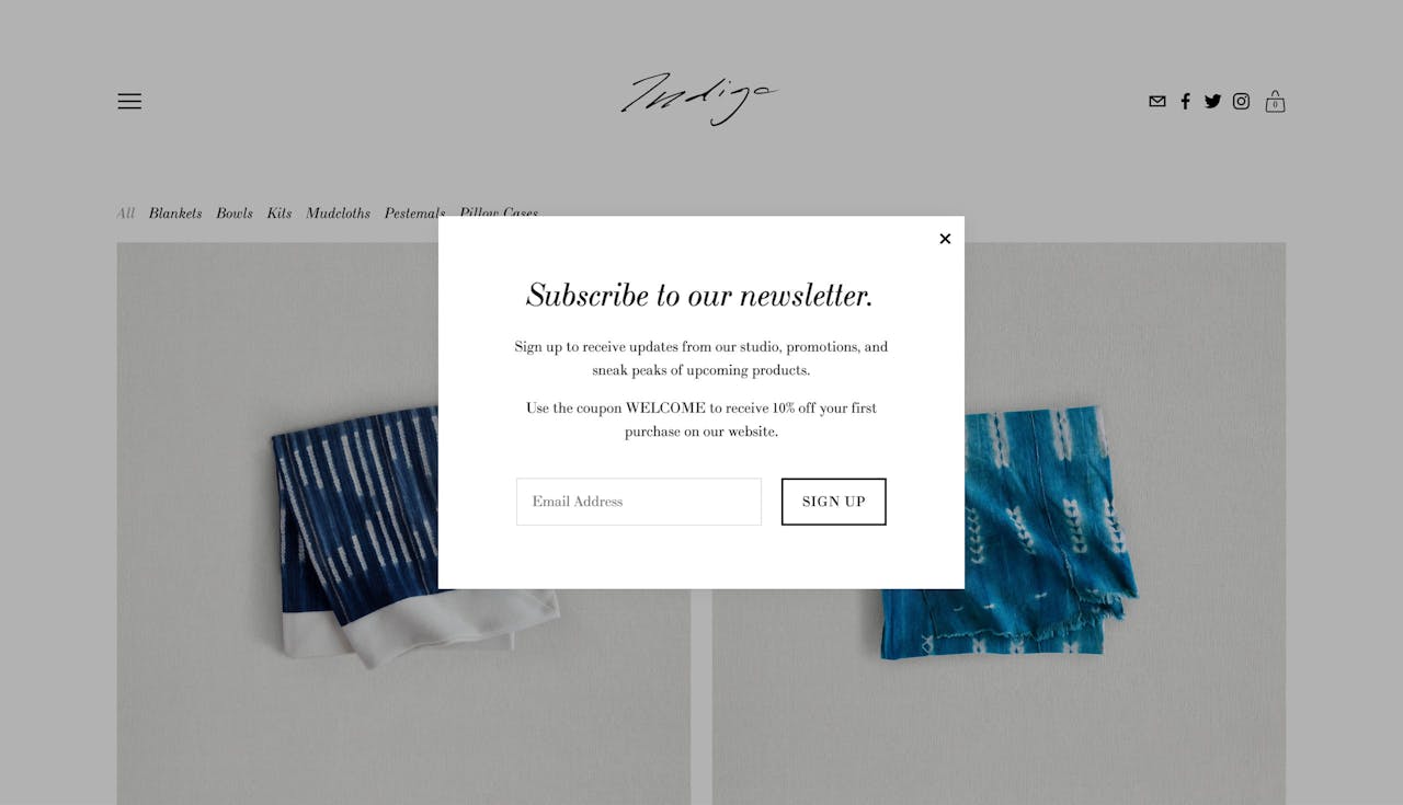 Squarespace pop-up example with coupon promo Screenshot