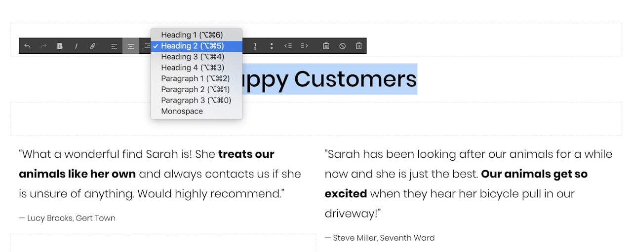 Squarespace Heading Options Screenshot