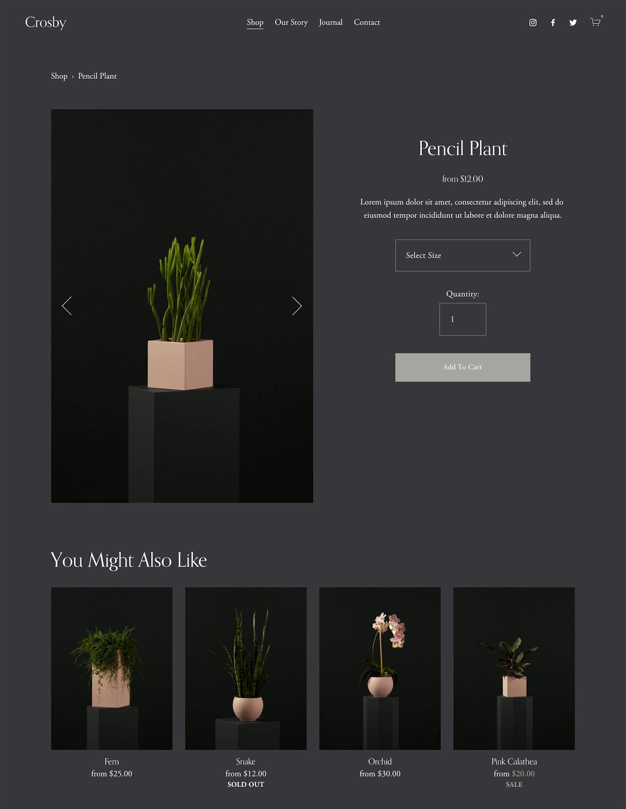 Squarespace Crosby Template - Product Page Preview Screenshot