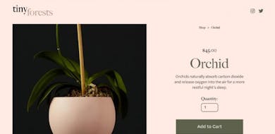 Squarespace Landing Pages: Answers to 10 FAQs