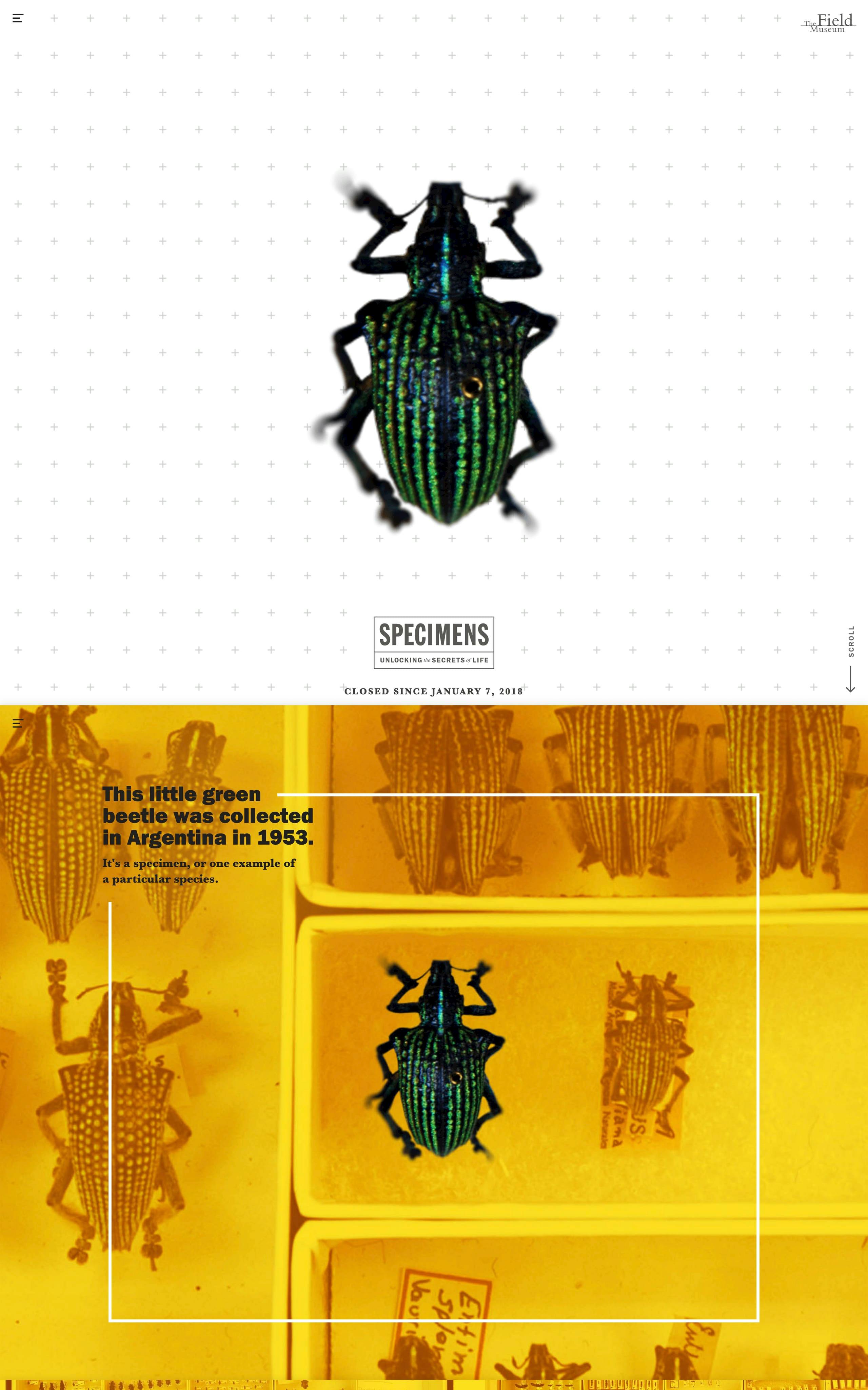 Specimens – The Field Museum Website Screenshot