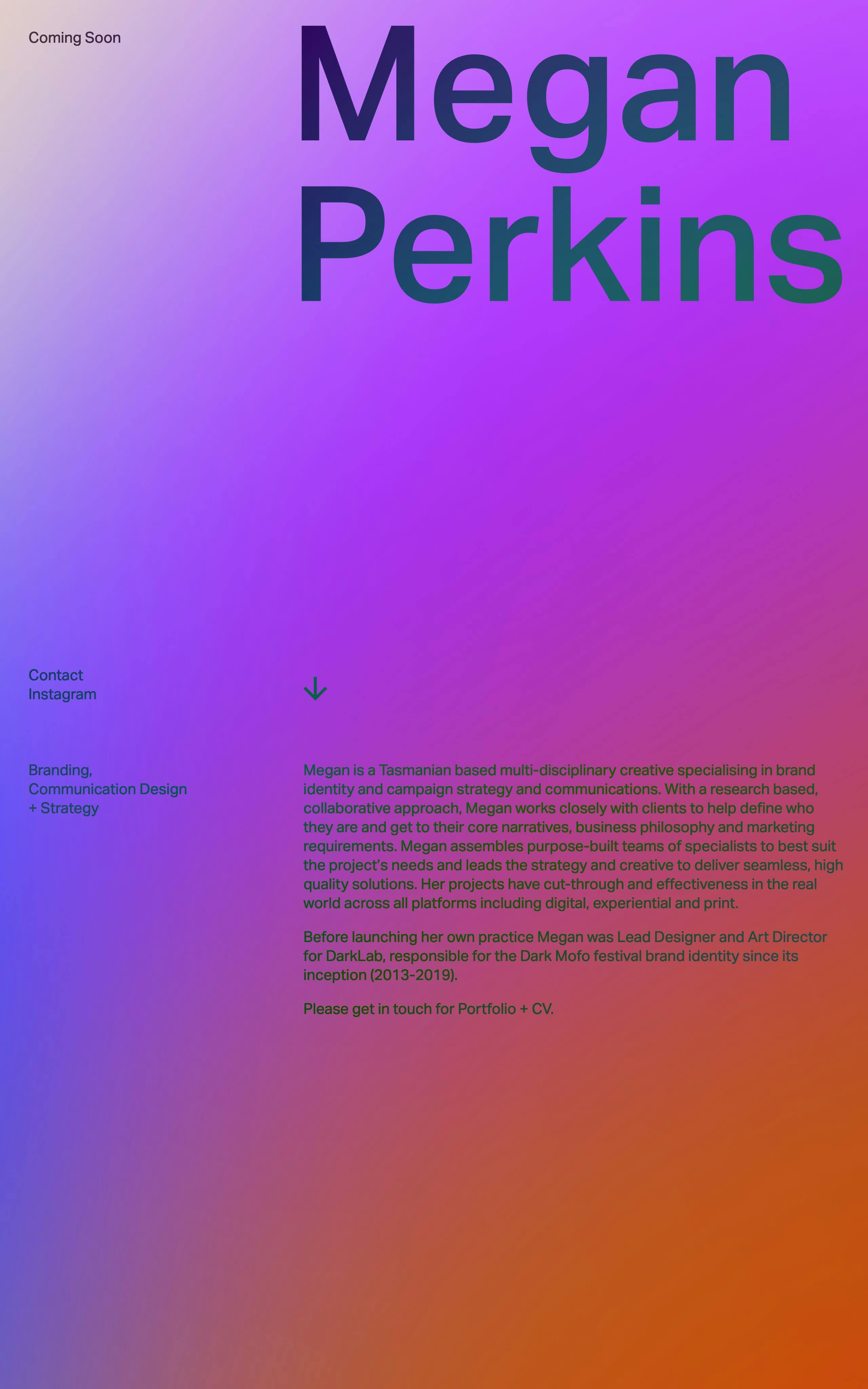 Megan Perkins Website Screenshot