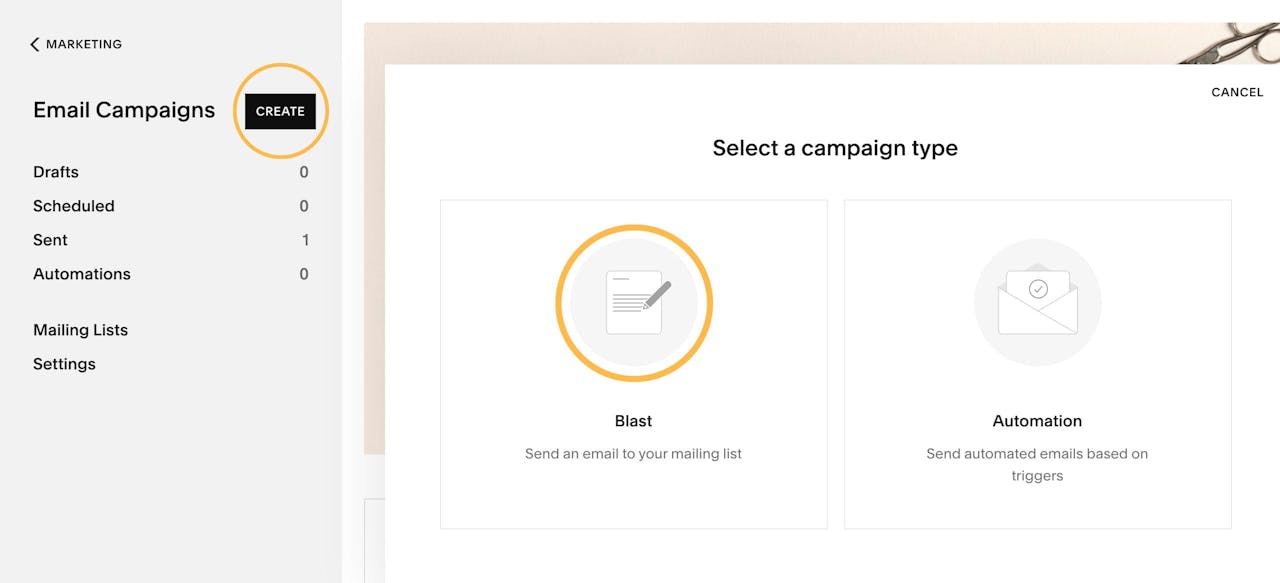Squarespace Email Campaigns - Create Blast Campaign Screenshot
