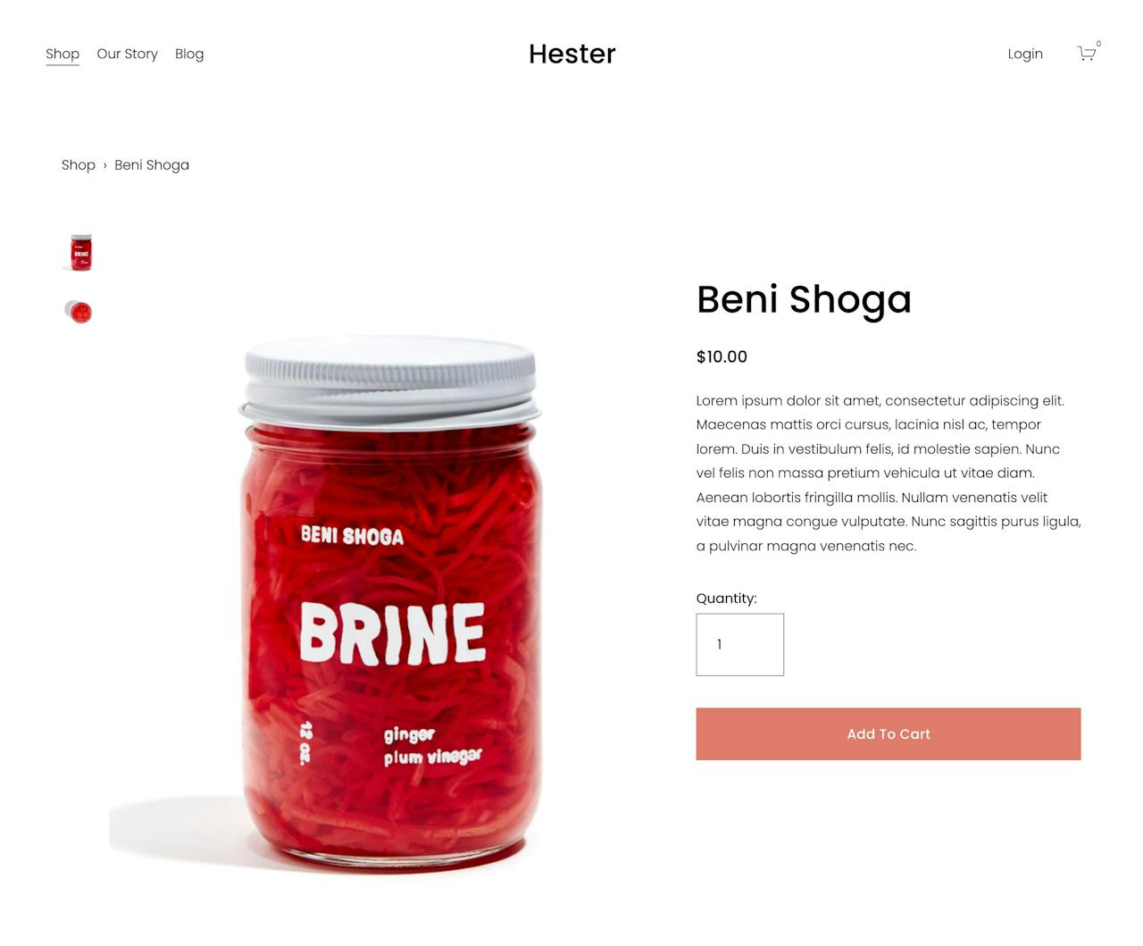 Squarespace Hester Template - Product View Screenshot