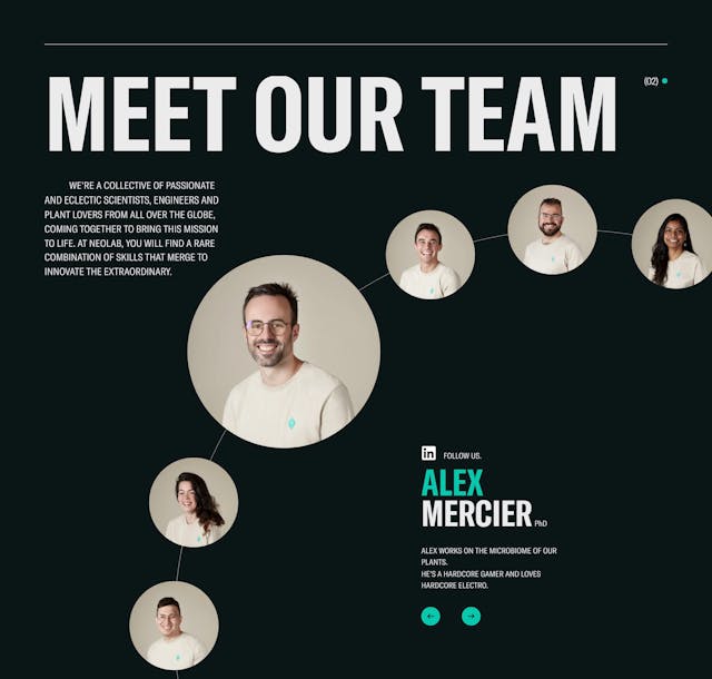 Neoplants Team Preview