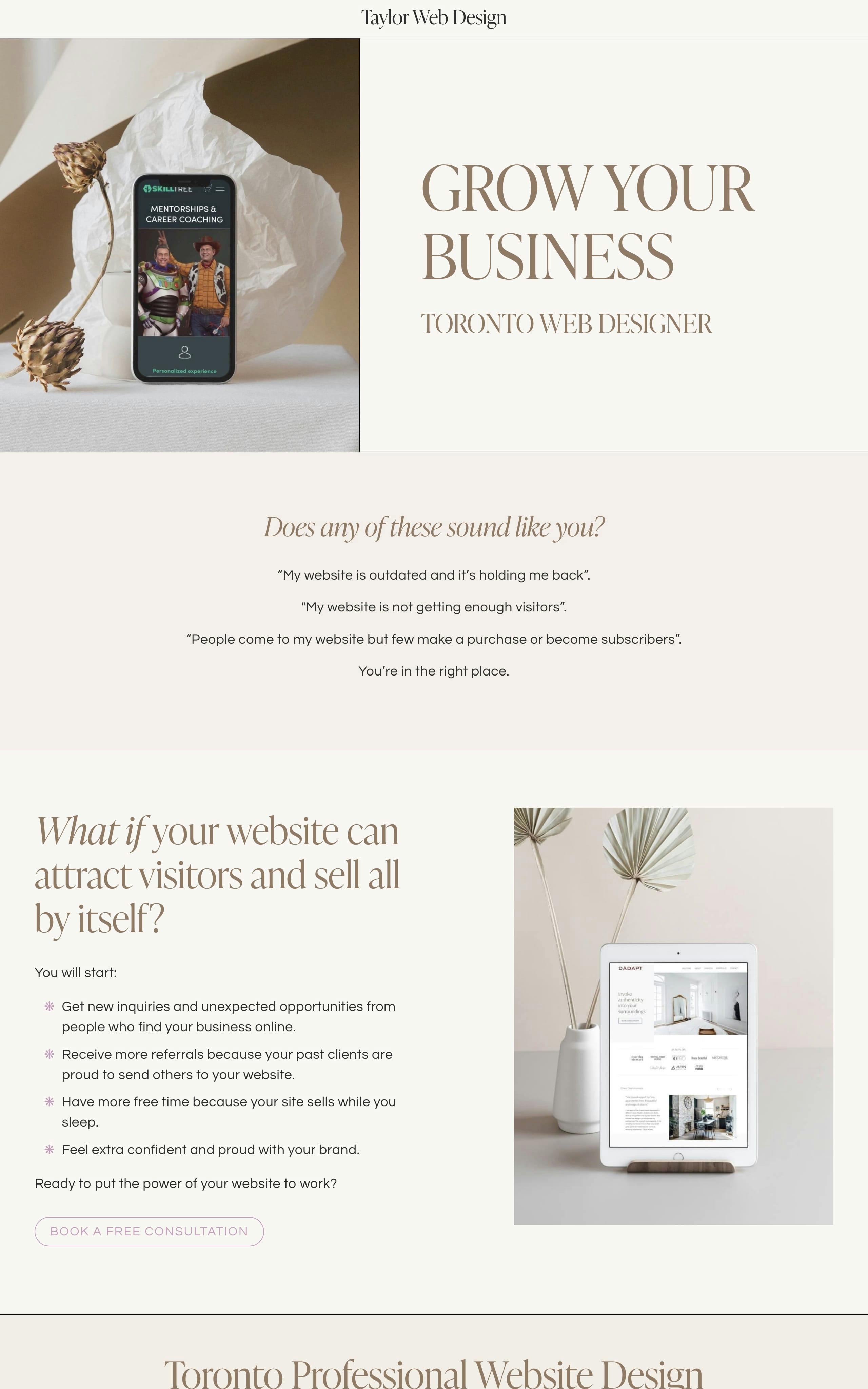 Taylor Web Design Website Screenshot