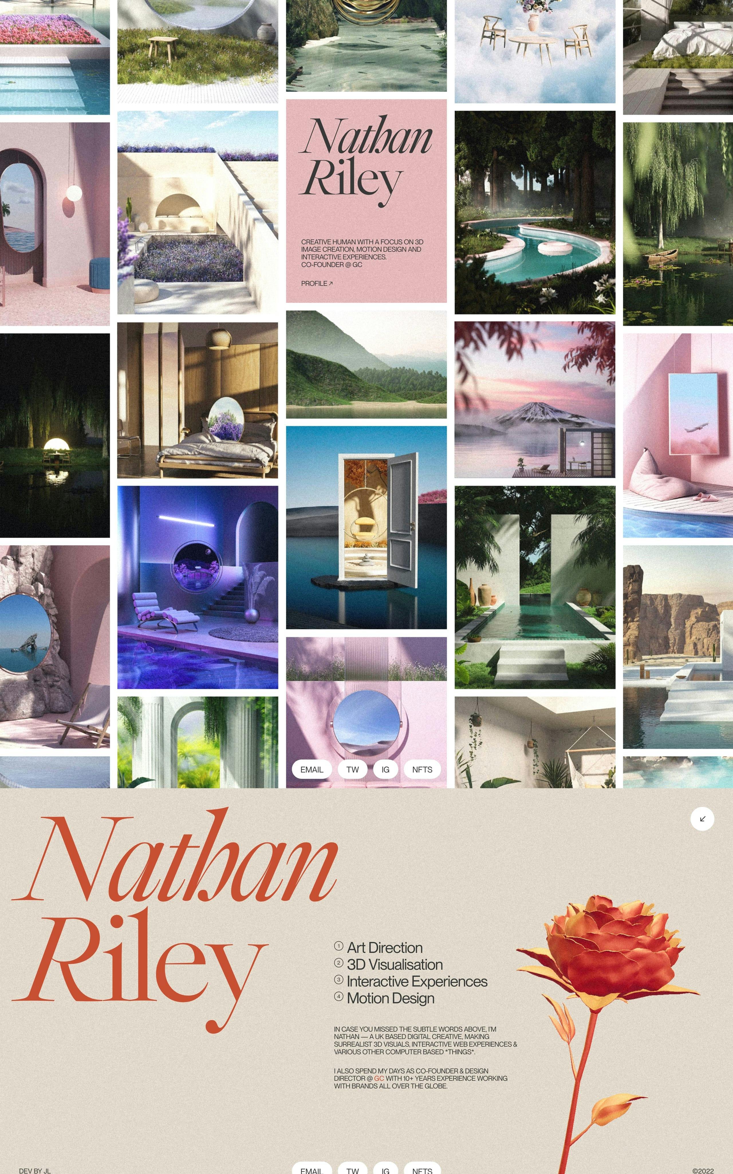 Nathan Riley Website Screenshot