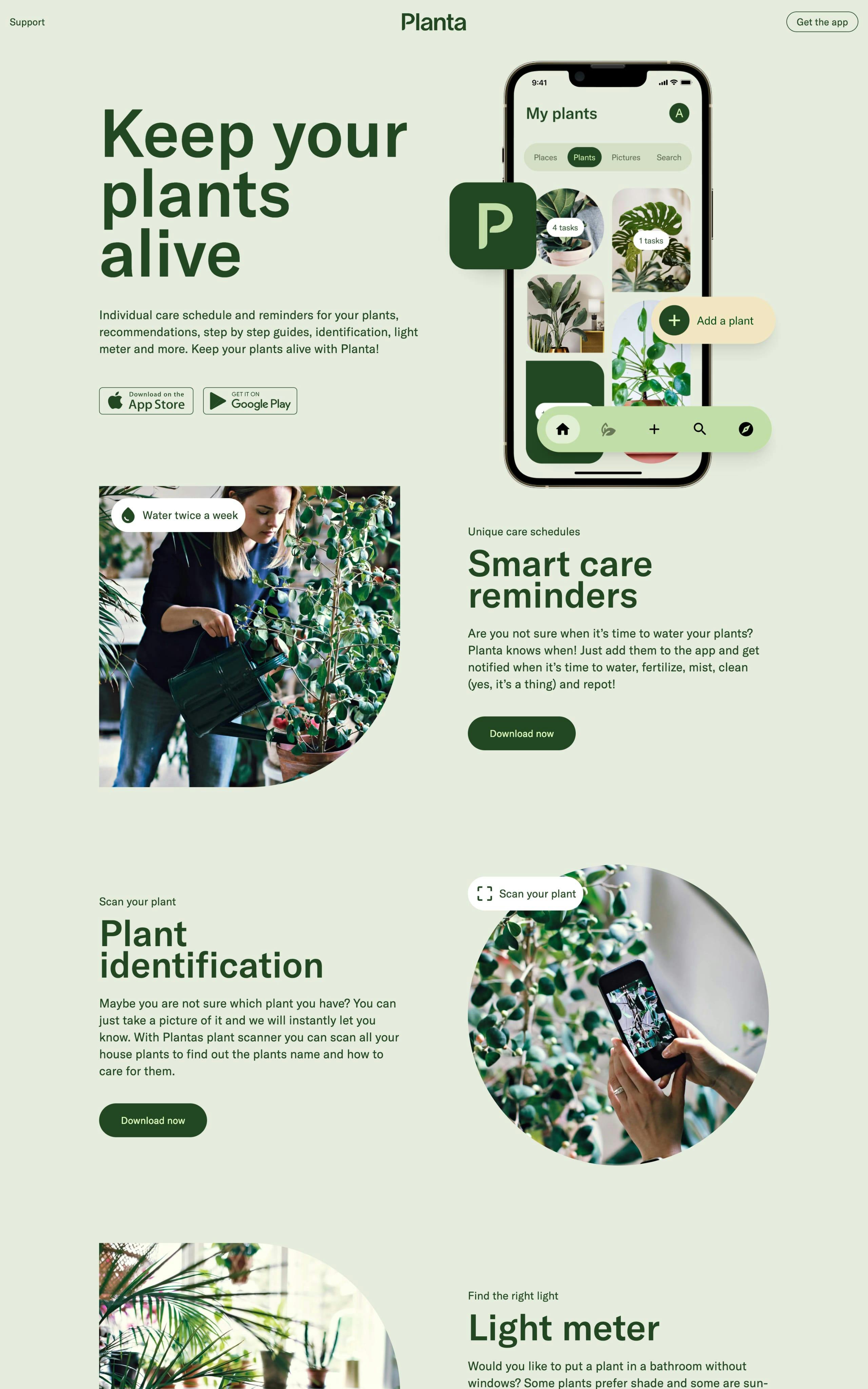 Planta Website Screenshot