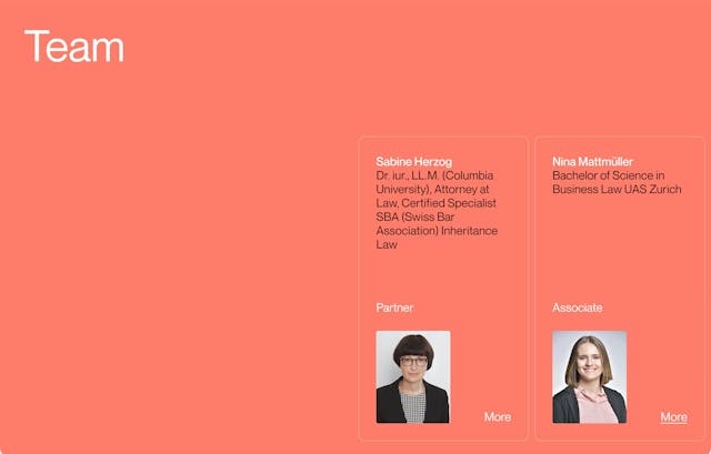 HERZOG.law Team Preview